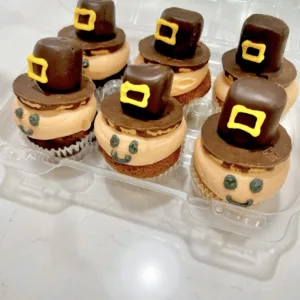Half Dozen Pilgrim Cupcakes
