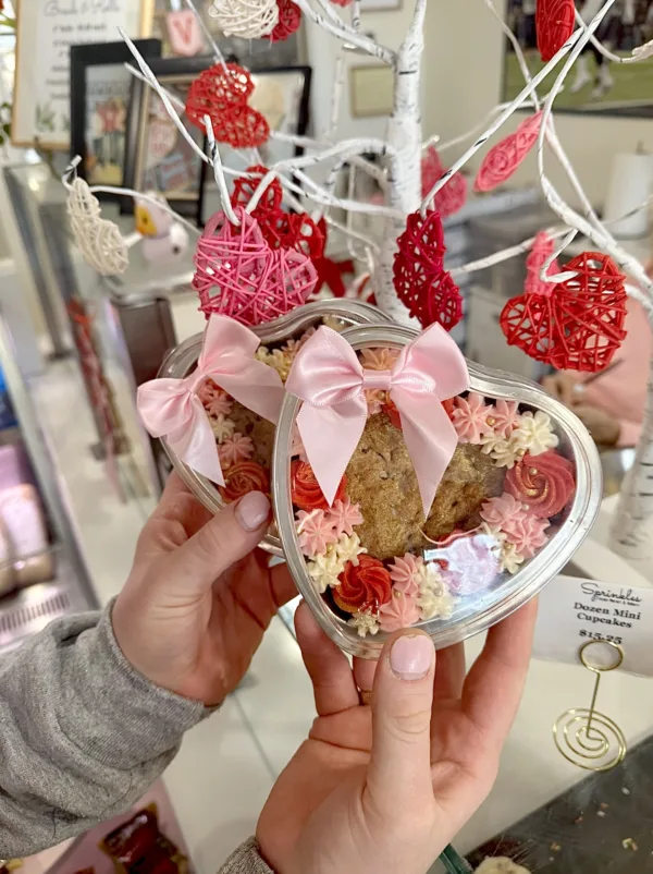 Individual Hearth Chocolate Chip Cookie