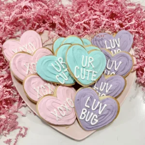 1 Dozen Conversation Heart Sugar Cookies