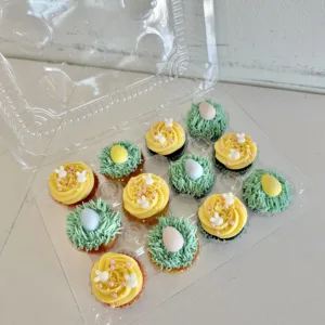 1 Dozen Mini Cupcakes