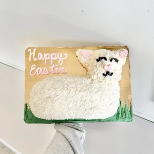 Traditional Coconut Lamb Cake