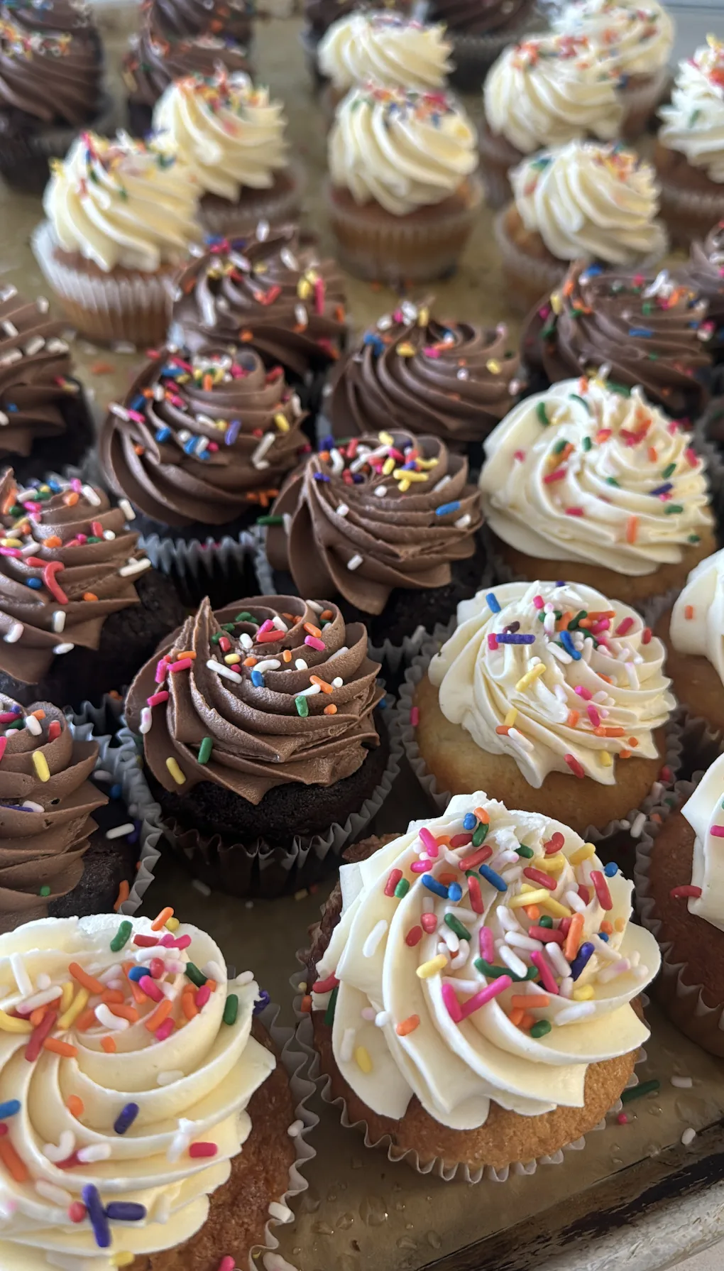 cupcake