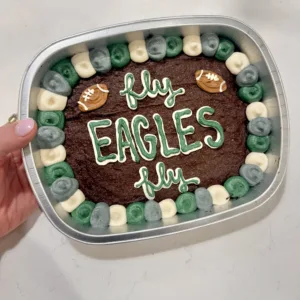 Fly Eagles Fly Fudge Brownie Cake